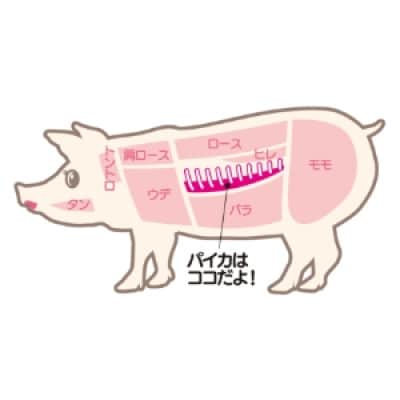 荳画イ「繝代う繧ォ繧ォ繝ャ繝シ(荳ュ霎)5蛟九そ繝繝医1676557縲