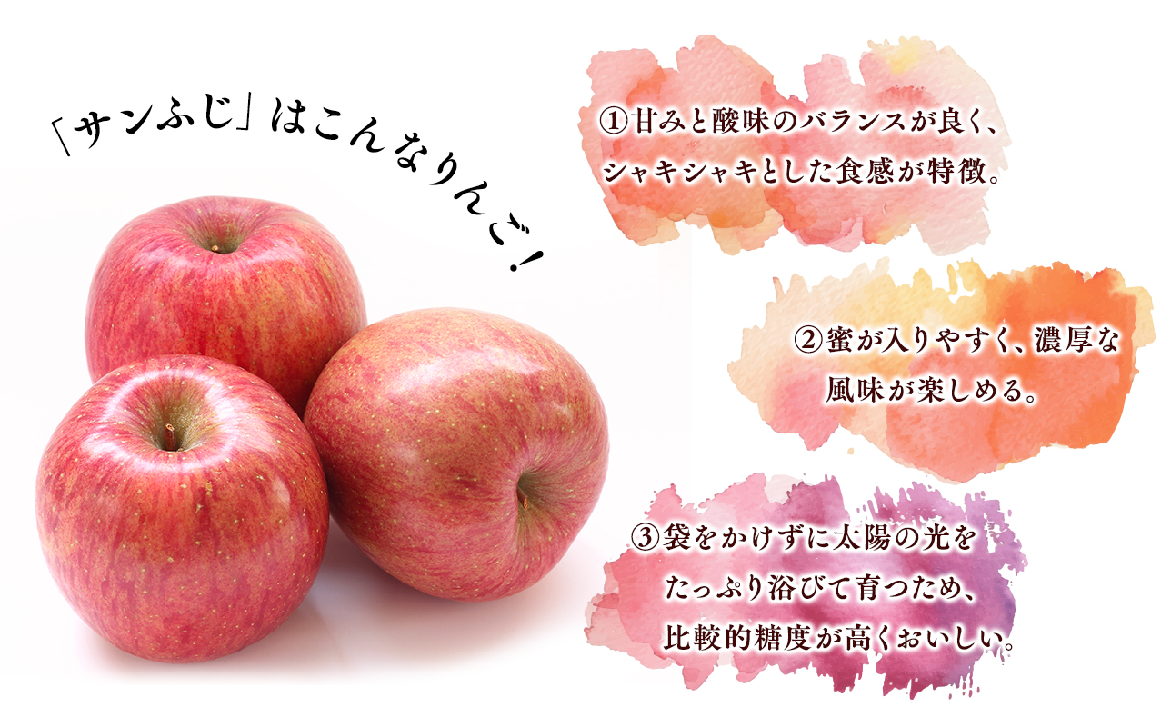 ≪3月発送≫【訳あり】家庭用 サンふじ3kg【青森県 平川市 丸勝木村商店】平川市産 青森りんご りんご リンゴ 林檎 ふじ 訳あり 家庭 わけあり お取り寄せ 先行予約 果物 くだもの フルーツ 
