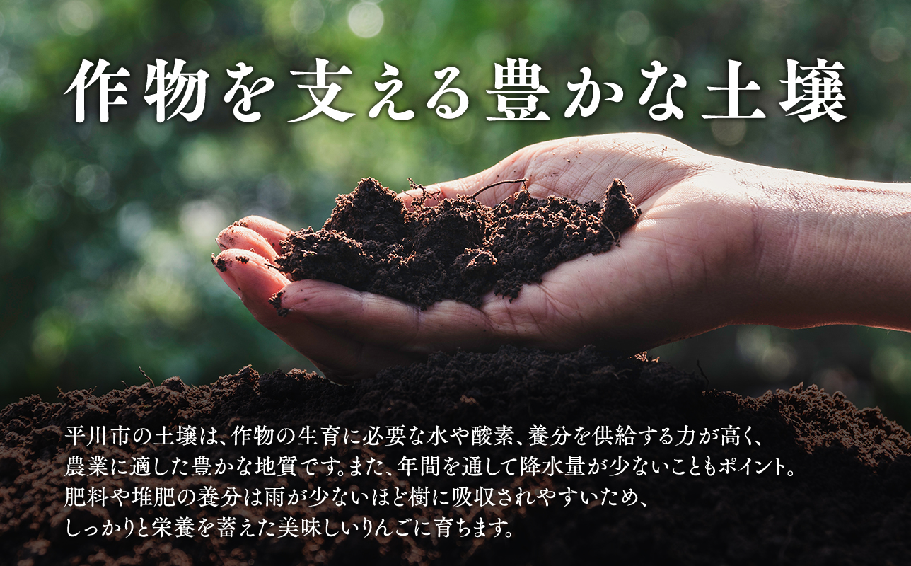 4月 発送【訳あり】家庭用有袋ふじ約5㎏【有袋ふじ・りんご・青森・平川・訳あり・家庭用・原田青果・5㎏】