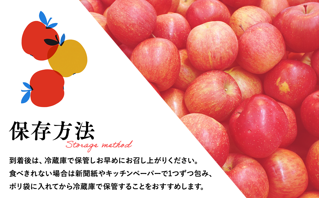 ≪2月発送≫【訳あり】家庭用 サンふじ3kg【青森県 平川市 丸勝木村商店】平川市産 青森りんご りんご リンゴ 林檎 ふじ 訳あり 家庭 わけあり お取り寄せ 先行予約 果物 くだもの フルーツ 