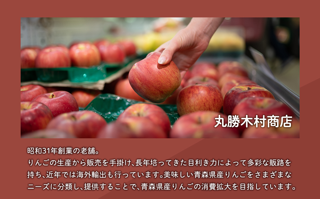 ≪4月発送≫【訳あり】家庭用 サンふじ5kg【青森県 平川市 丸勝木村商店】平川市産 青森りんご りんご リンゴ 林檎 ふじ 訳あり 家庭 わけあり お取り寄せ 先行予約 果物 くだもの フルーツ 