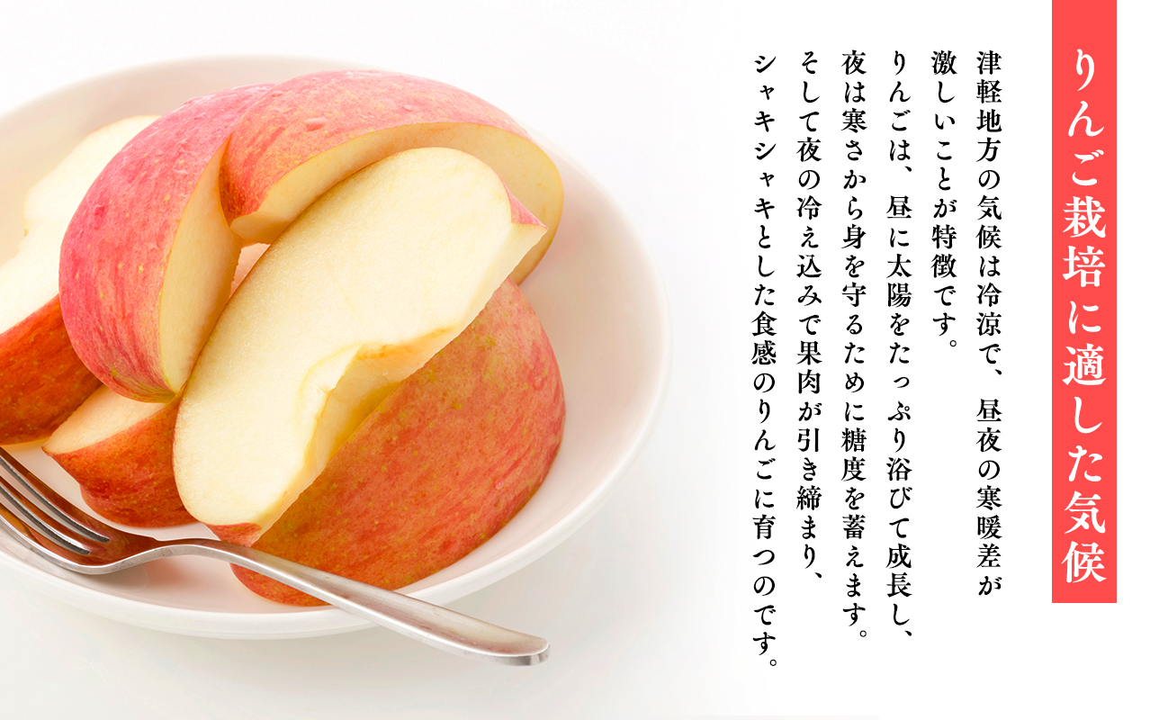 ≪4月発送≫【訳あり】家庭用 サンふじ10kg【青森県 平川市 丸勝木村商店】平川市産 青森りんご りんご リンゴ 林檎 ふじ 訳あり 家庭 わけあり お取り寄せ 先行予約 果物 くだもの フルーツ 