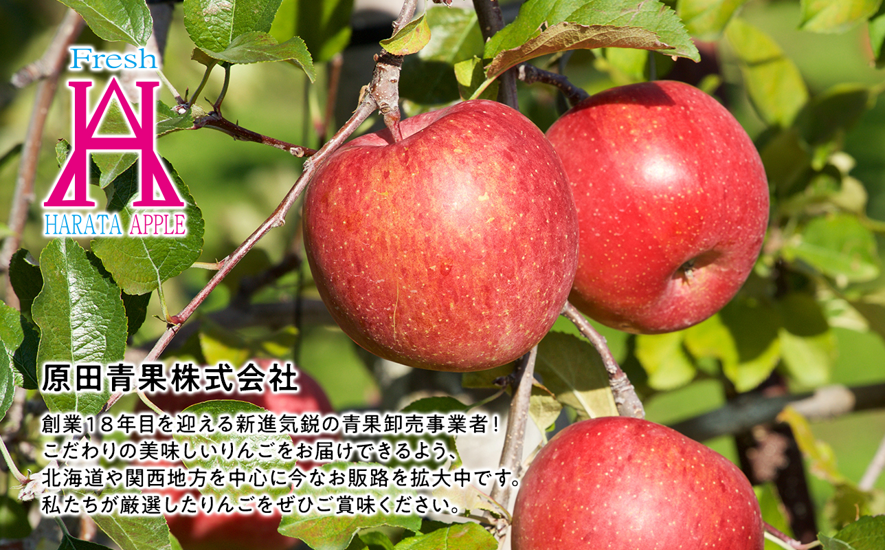 5月 クール便発送【訳あり】家庭用サンふじ約3㎏【サンふじ・りんご・青森・平川・訳あり・家庭用・原田青果・５㎏】