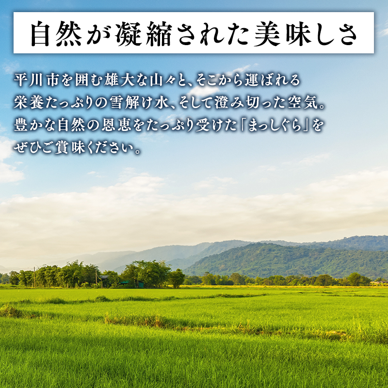 âªä»€å8å¹Žç£ å
è¡äºçŽâ«12æäžæ¬ãããå±ã! ãç¹å¥æ œå¹ç±³ ã¯ããããçç±³10kgã鿣®ç å¹³å·åžãå
è¡äºçŽ ç±³ ãç±³ çç±³ 鿣®çç£ ç£å°çŽé ãã«ãã æã飯 å·ããŠããããã ã飯 ã³ã¡ ãã çœç±³ ãã¯ã ãã©ã³ãç±³ ç¹A ç¹Aç±³ ãåãå¯ã ã°ã«ã¡