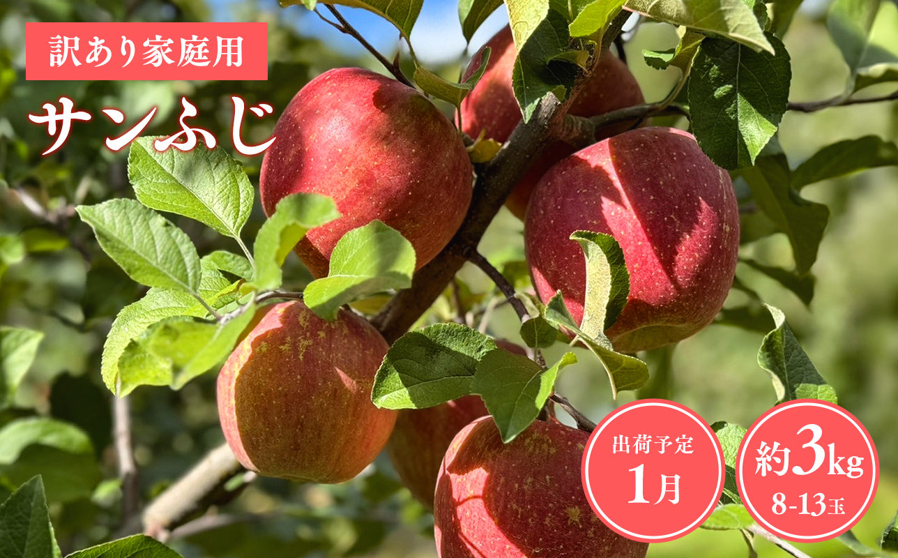 ≪令和8年産先行受付≫令和9年1月発送! 訳あり 家庭用サンふじ約3kg【青森県平川市産・青森りんご】【青森県 平川市 山内ファーム】家庭用 平川市産 青森りんご りんご リンゴ 林檎 ふじ 訳あり 家庭用 お取り寄せ 先行予約 果物 くだもの フルーツ 