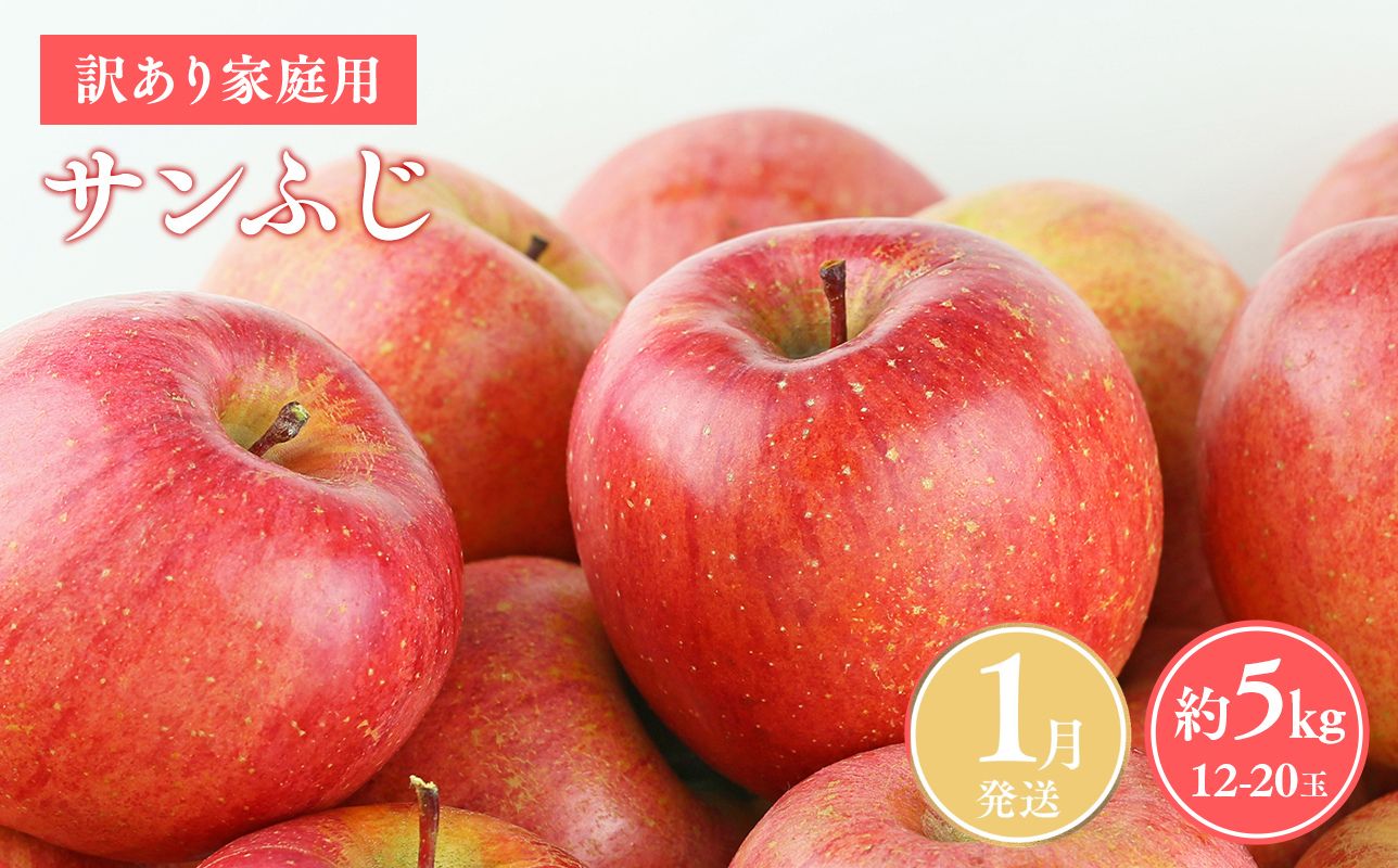 ≪令和8年産先行受付≫令和9年1月発送! 訳あり 家庭用サンふじ約5kg【青森県平川市産・青森りんご】【青森県 平川市 山内ファーム】家庭用 平川市産 青森りんご りんご リンゴ 林檎 ふじ 訳あり 家庭用 お取り寄せ 先行予約 果物 くだもの フルーツ