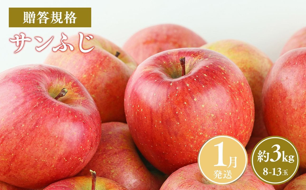 ≪令和8年産先行受付≫令和9年1月発送! 贈答規格サンふじ約3kg【青森県平川市産・青森りんご】【青森県 平川市 山内ファーム】 平川市産 青森りんご りんご リンゴ 林檎 ふじ 贈答 贈答品 お取り寄せ 先行予約 果物 くだもの フルーツ