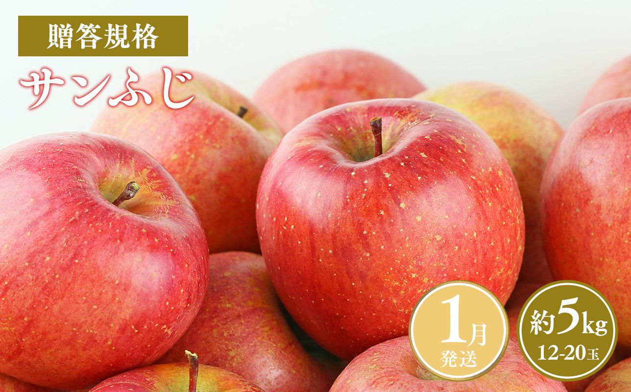 ≪令和8年産先行受付≫令和9年1月発送! 贈答規格サンふじ約5kg【青森県平川市産・青森りんご】【青森県 平川市 山内ファーム】 平川市産 青森りんご りんご リンゴ 林檎 ふじ 贈答 贈答品 お取り寄せ 先行予約 果物 くだもの フルーツ