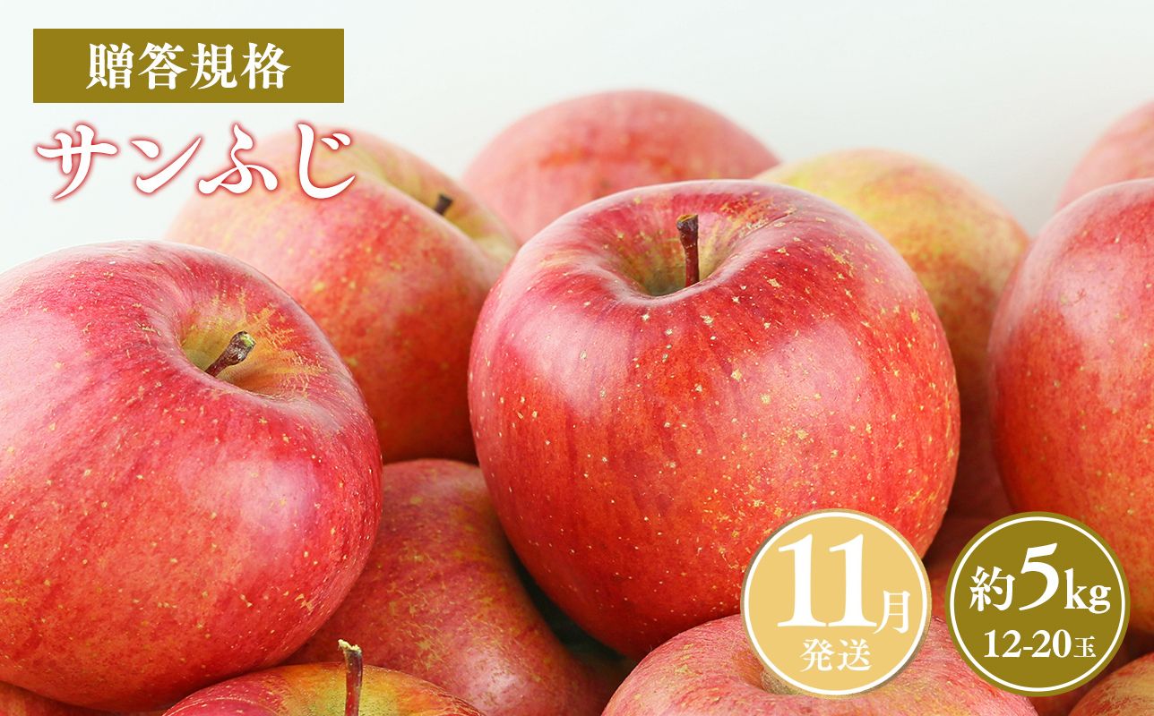 ≪令和8年産先行受付≫11月発送! 贈答規格サンふじ約3kg【青森県 平川市 山内ファーム】 平川市産 青森りんご りんご リンゴ 林檎 ふじ 贈答 贈答品 お取り寄せ 先行予約 果物 くだもの フルーツ