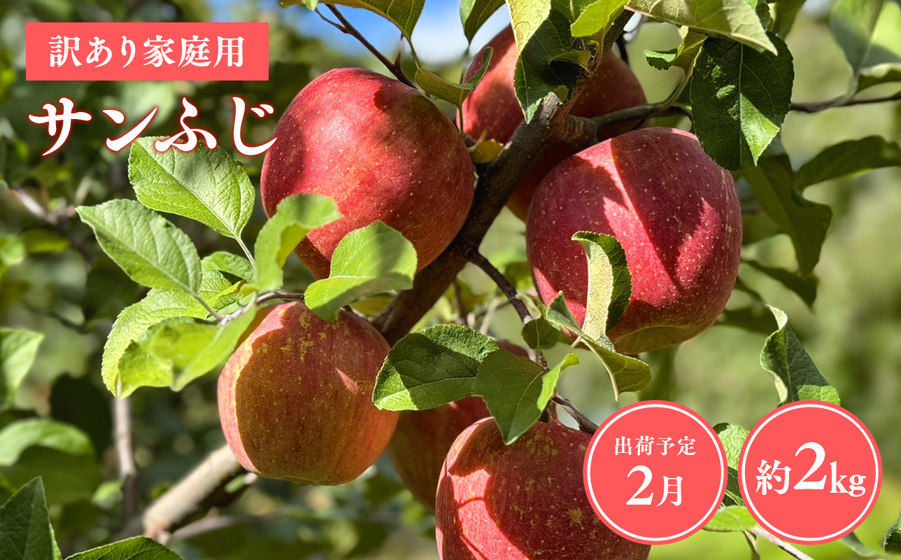 ≪令和8年産先行受付≫令和9年2月発送! 訳あり 家庭用サンふじ約2kg【青森県平川市産・青森りんご】【青森県 平川市 山内ファーム】家庭用 平川市産 青森りんご りんご リンゴ 林檎 ふじ 訳あり 家庭用 お取り寄せ 先行予約 果物 くだもの フルーツ 