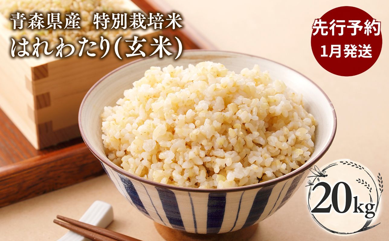 ≪令和8年産 先行予約≫1月中旬よりお届け! 　特別栽培米 はれわたり玄米20kg【青森県 平川市】先行予約 米 お米 玄米 青森県産 産地直送 おにぎり 朝ご飯 冷めてもおいしい ご飯  コメ こめ 白米 ごはん ブランド米 特A 特A米 お取り寄せ グルメ