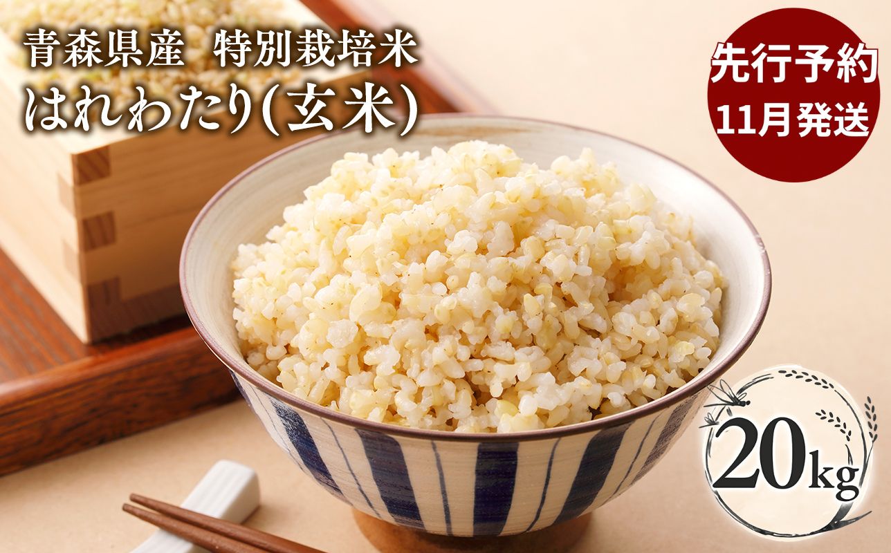 ≪令和8年産 先行予約≫11月中旬よりお届け! 　特別栽培米 はれわたり玄米20kg【青森県 平川市】先行予約 米 お米 玄米 青森県産 産地直送 おにぎり 朝ご飯 冷めてもおいしい ご飯  コメ こめ 白米 ごはん ブランド米 特A 特A米 お取り寄せ グルメ