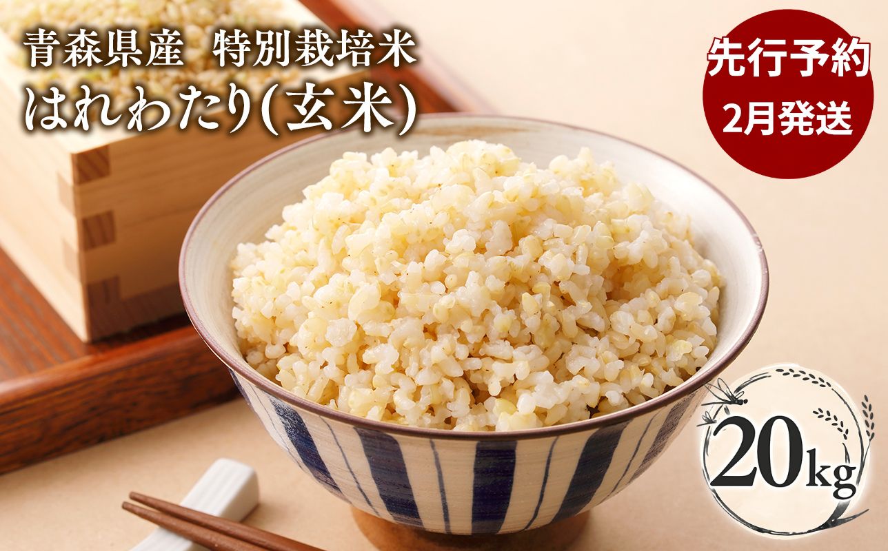 ≪令和8年産 先行予約≫2月中旬よりお届け! 　特別栽培米 はれわたり玄米20kg【青森県 平川市】先行予約 米 お米 玄米 青森県産 産地直送 おにぎり 朝ご飯 冷めてもおいしい ご飯  コメ こめ 白米 ごはん ブランド米 特A 特A米 お取り寄せ グルメ