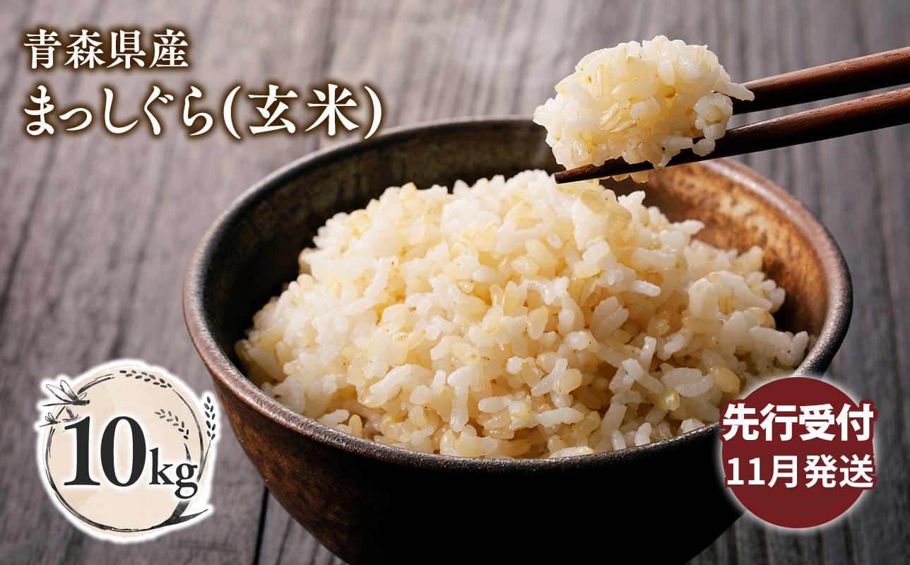 ≪令和8年産 先行予約≫11月中旬よりお届け! 青森県平川市産まっしぐら10kg(玄米)