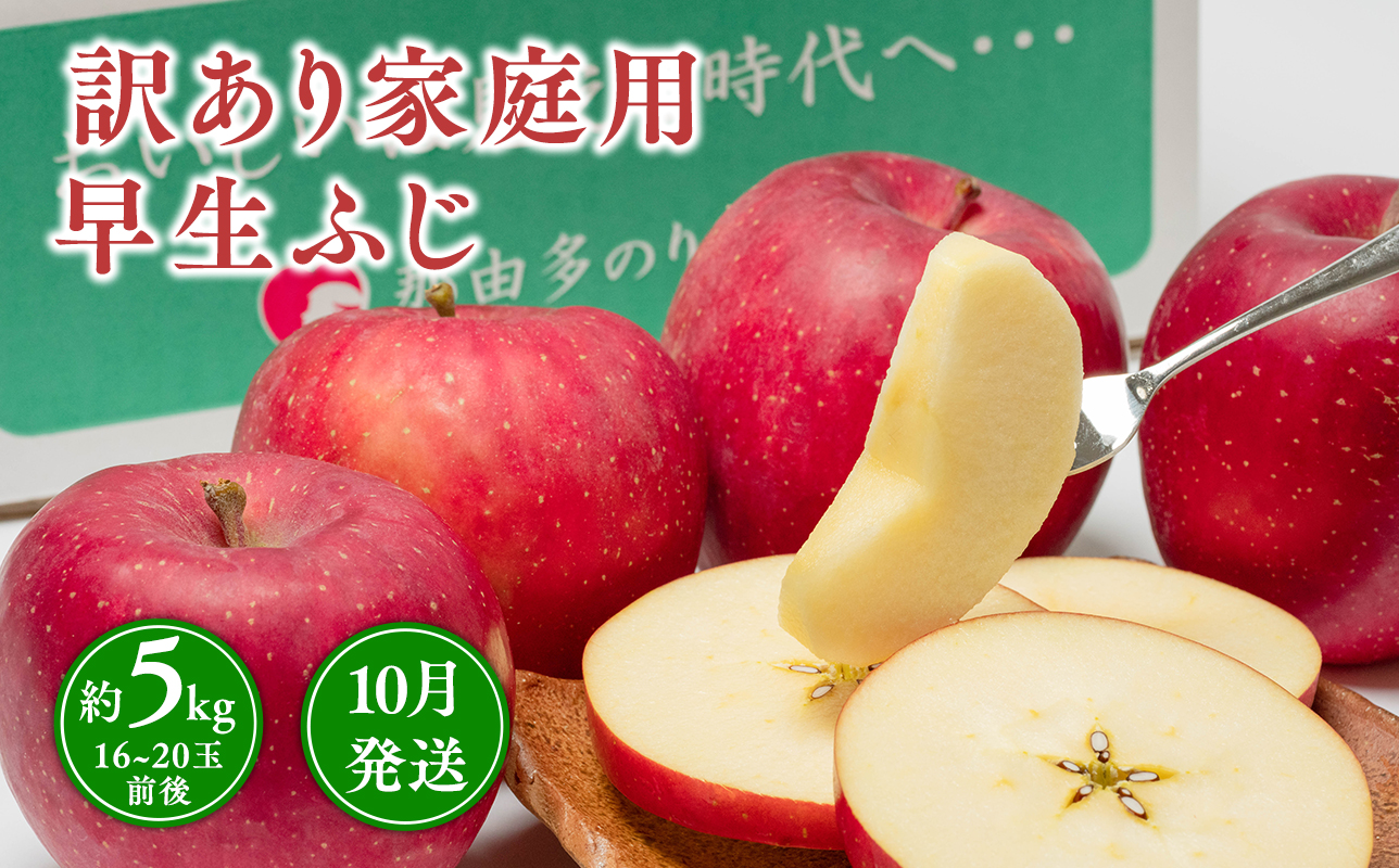 10月発送 【訳あり】家庭用早生ふじ 約5kg 【青森県 平川市 那由多のりんご園】