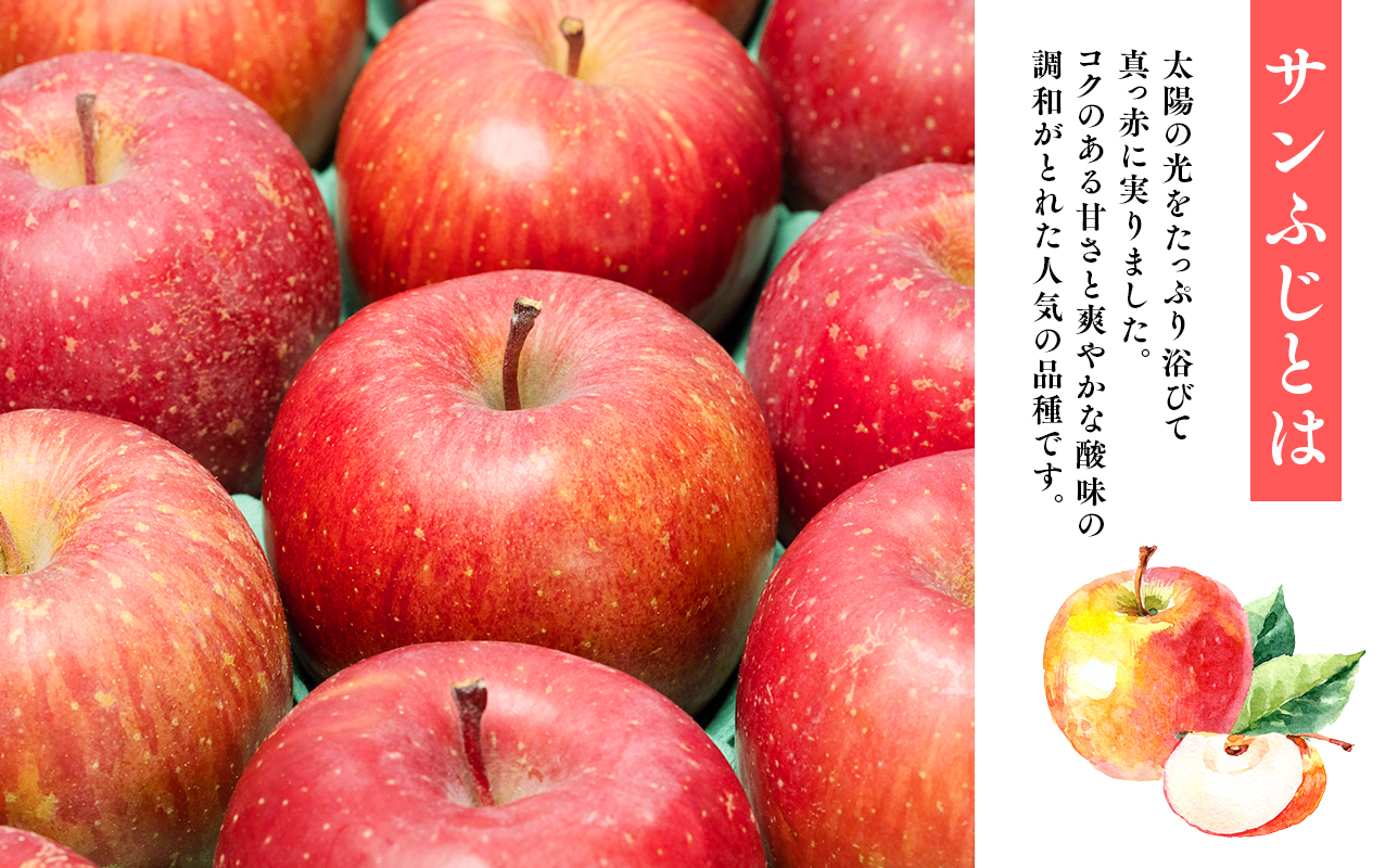 年明け発送 【訳あり】家庭用サンふじ約2kg（糖度証明書付き） 【青森県 平川市 那由多のりんご園】