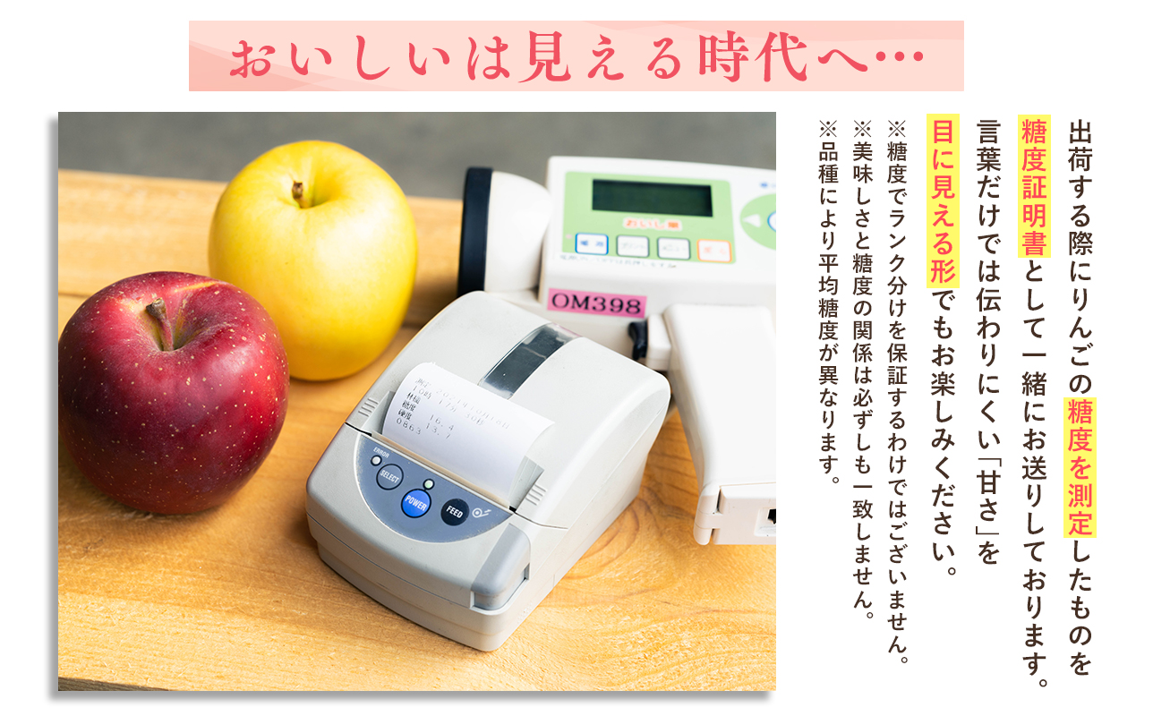 年内発送 【訳あり】家庭用ぐんま名月約3kg（糖度証明書付き）【青森県 平川市 那由多のりんご園】