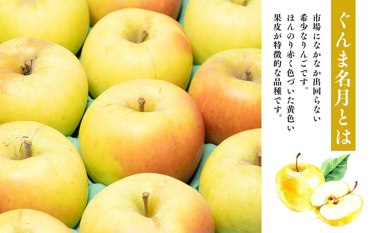 年内発送 【訳あり】家庭用ぐんま名月約2kg（糖度証明書付き）【青森県 平川市 那由多のりんご園】