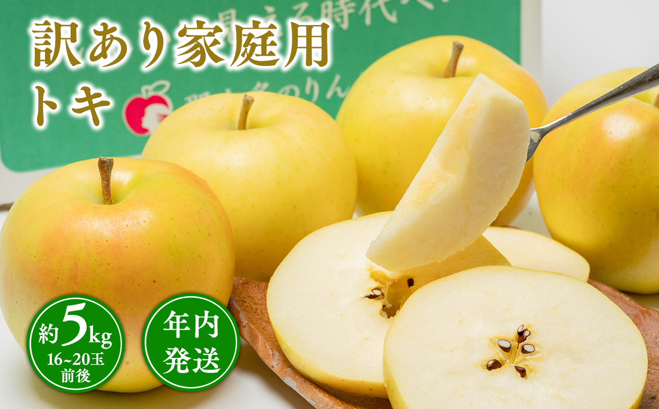 年内発送 【訳あり】家庭用 トキ 約5kg【青森県 平川市 那由多のりんご園】