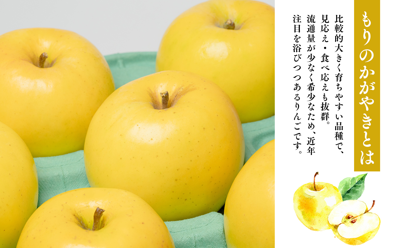 年内発送【訳あり】家庭用 もりのかがやき 約2kg【青森県 平川市 那由多のりんご園】