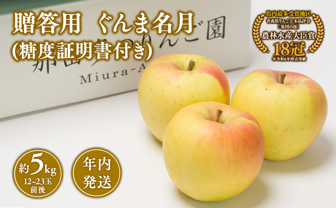 【11~12月発送】  贈答用ぐんま名月約5kg（糖度証明書付き） 【青森県 平川市 那由多のりんご園】
