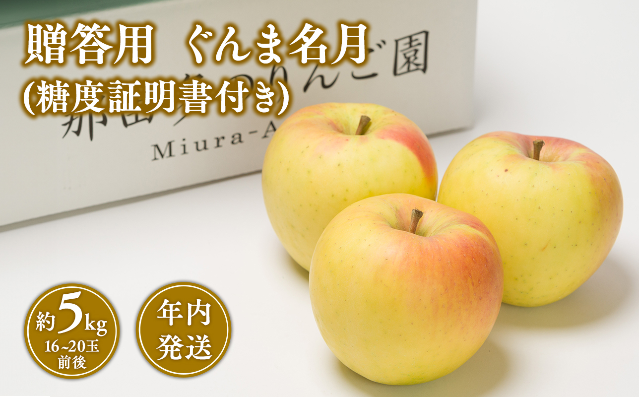 【11~12月発送】  贈答用ぐんま名月約5kg（糖度証明書付き） 【青森県 平川市 那由多のりんご園】