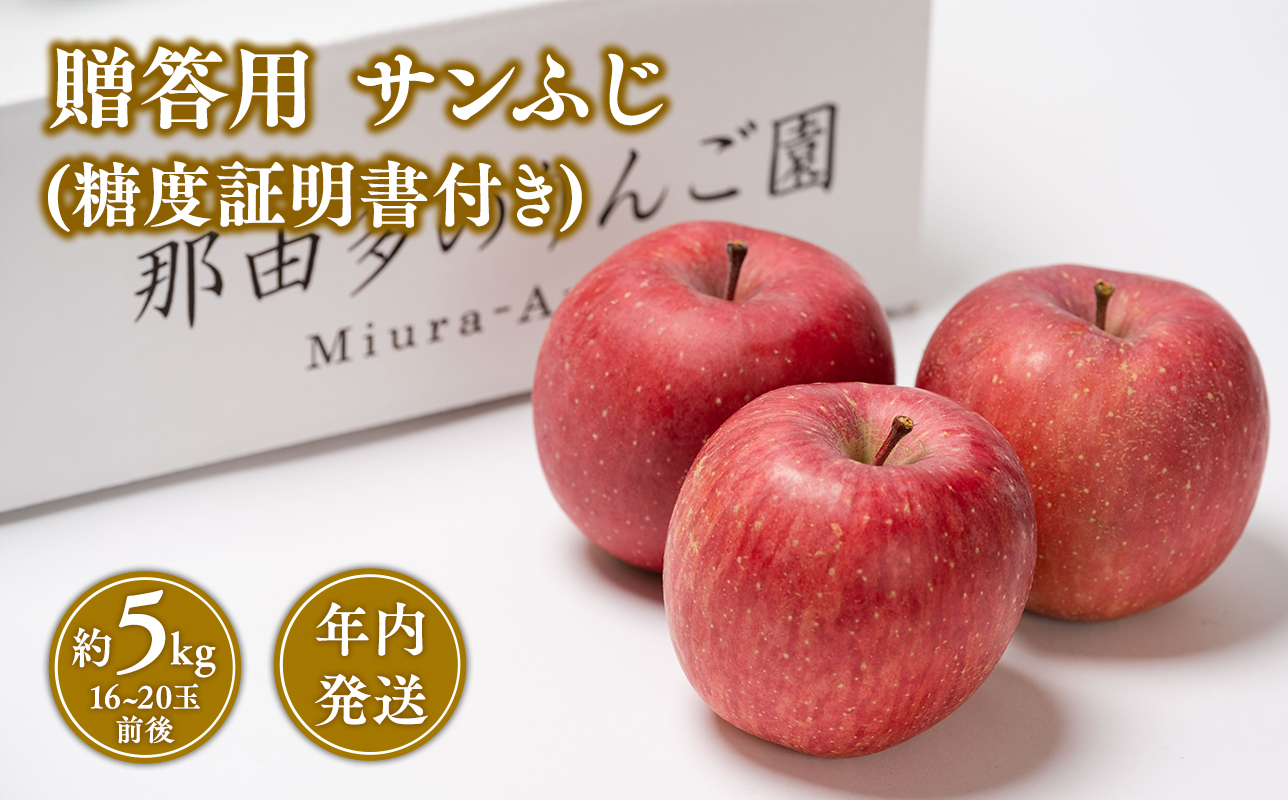 【12月発送】 贈答用サンふじ約5kg（糖度証明書付き） 【青森県 平川市 那由多のりんご園】