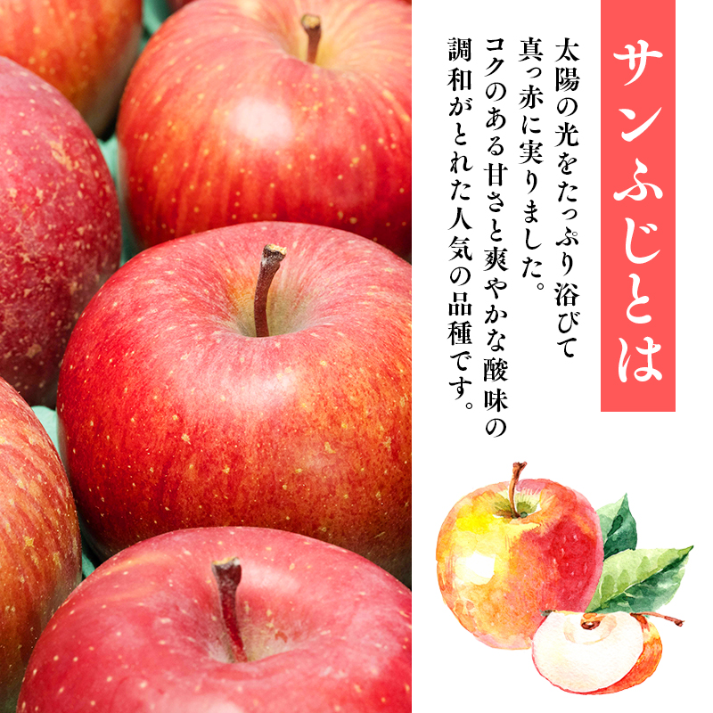 年内発送 【訳あり】家庭用サンふじ約3kg（糖度証明書付き）【青森県 平川市 那由多のりんご園】