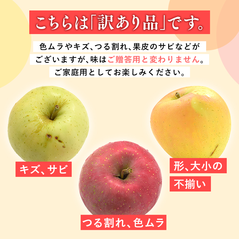 年内発送 【訳あり】家庭用サンふじ約3kg（糖度証明書付き）【青森県 平川市 那由多のりんご園】