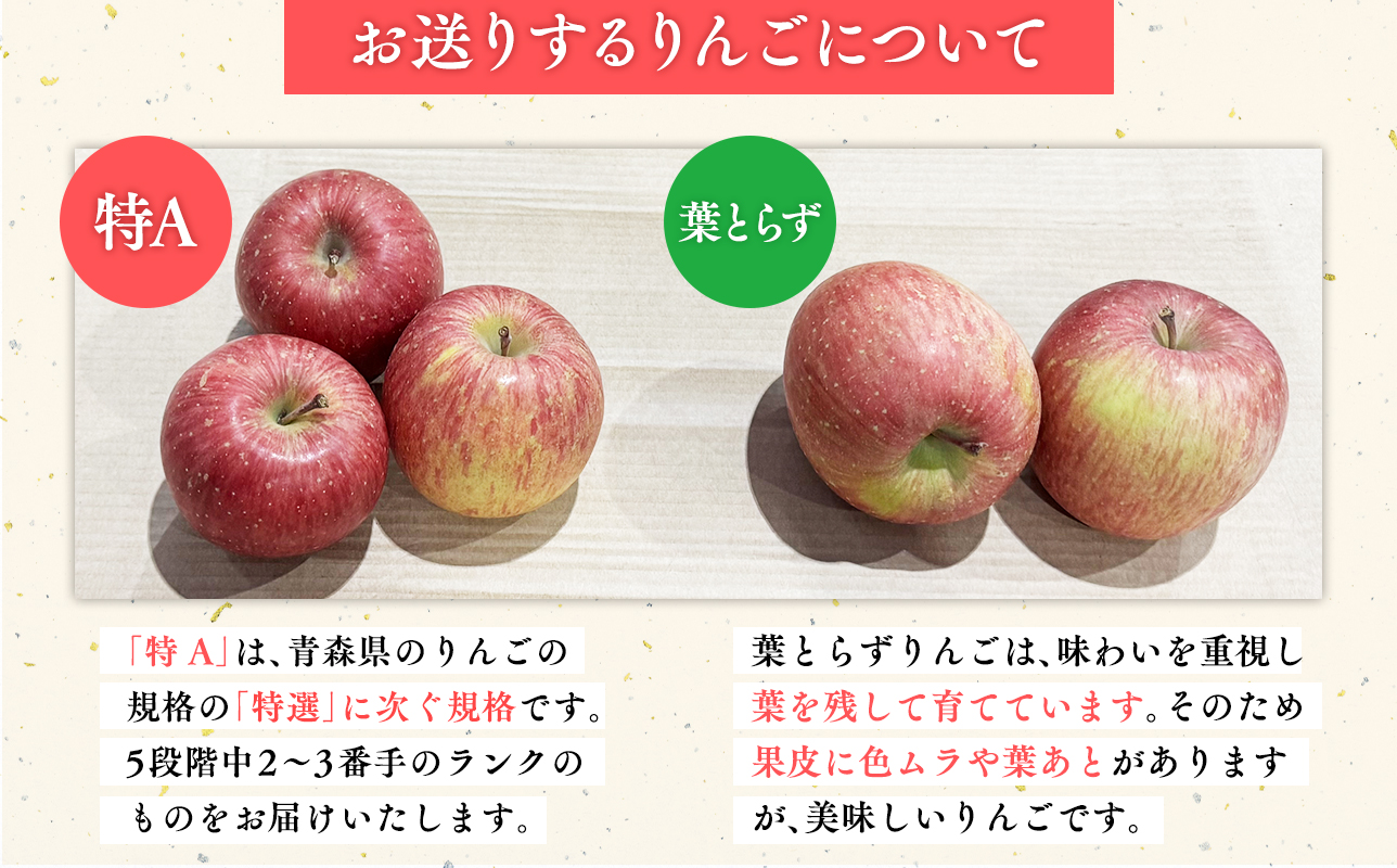 3月 葉取らずサンふじ 約10kg 訳あり 家庭用【青森県 平川市 森山商店 】