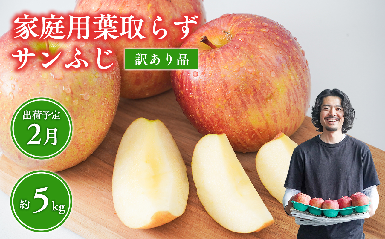 2月 葉取らずサンふじりんご 約5kg 訳あり 家庭用【青森県 平川市 森山商店 】