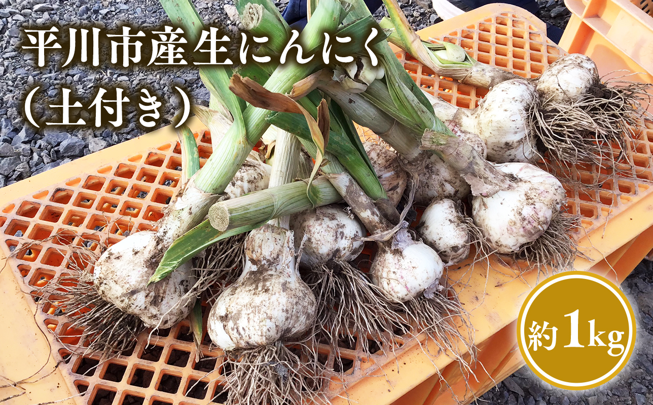 ≪6月下旬～順次発送≫青森県 平川市産 土付き生にんにく 約1kg【青森県 平川市 しあわせj-Farm】