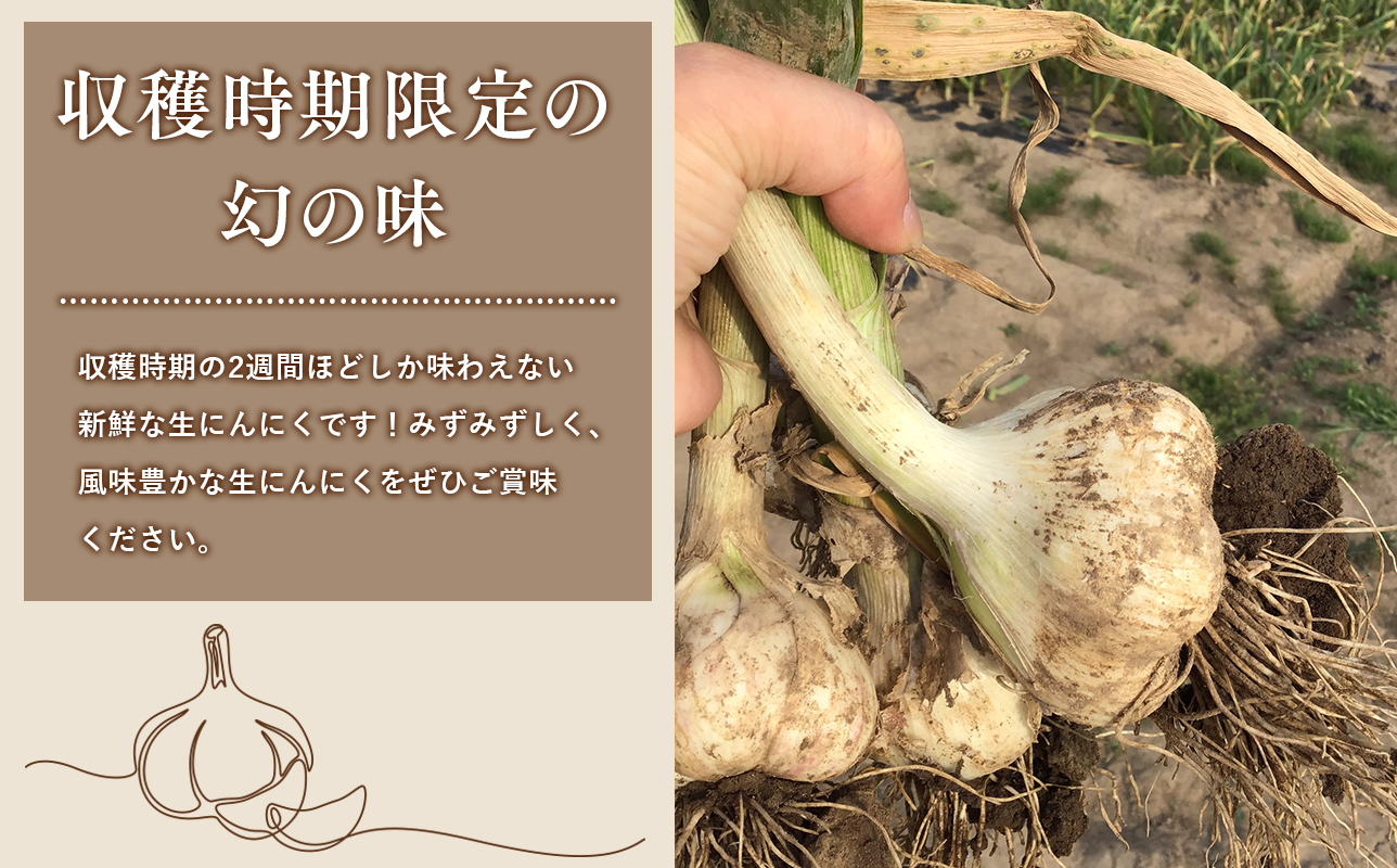 ≪6月下旬～順次発送≫青森県 平川市産 土付き生にんにく 約1kg【青森県 平川市 しあわせj-Farm】