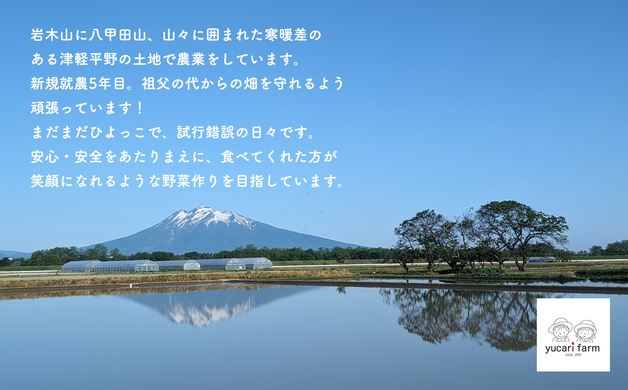 【8月～順次発送】yucarifarmの無添加ミニトマトジュース 180ml×4本 