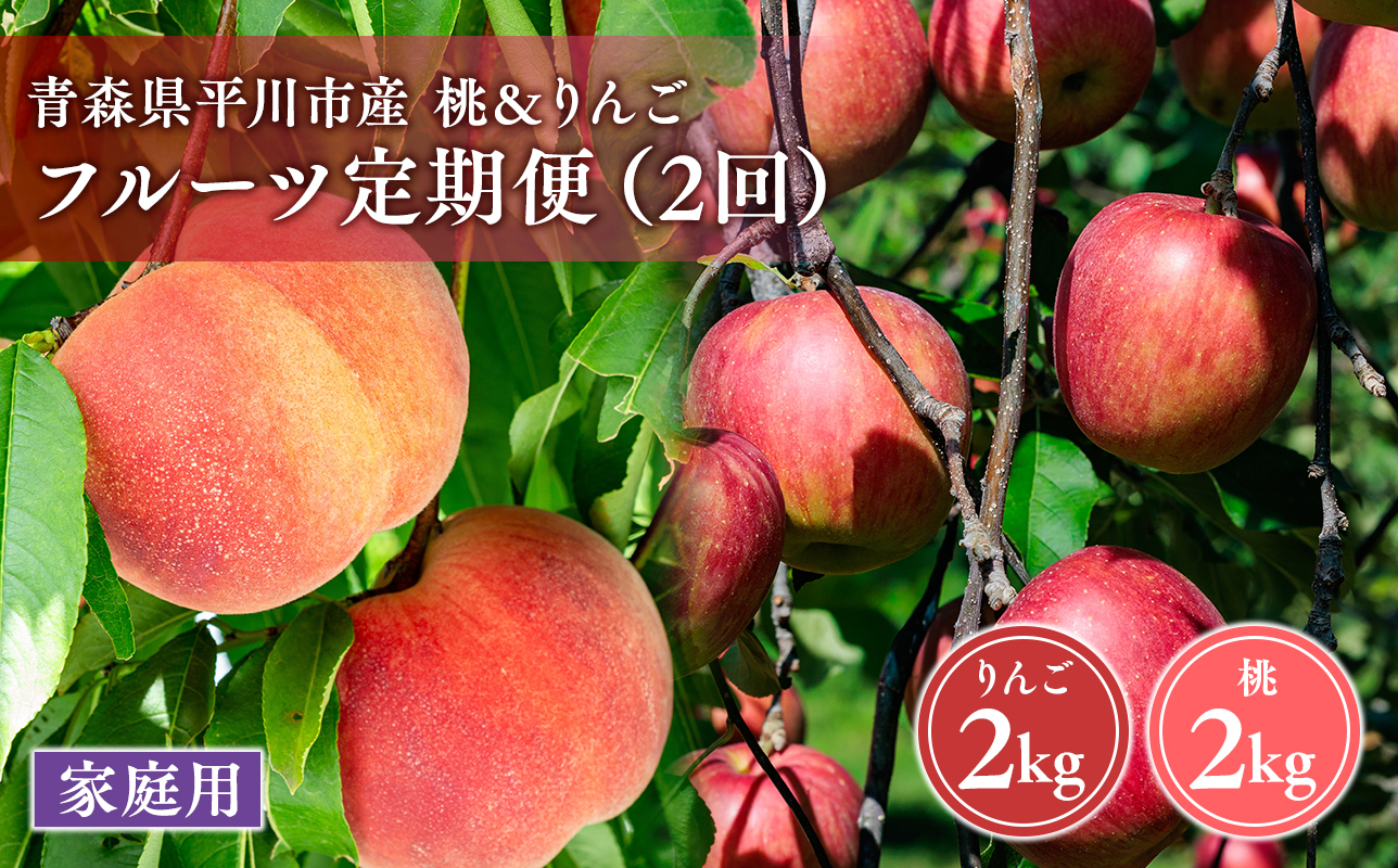 青森フルーツ満喫便　家庭用 桃＆りんご 2回定期コース【hi-0999-009】