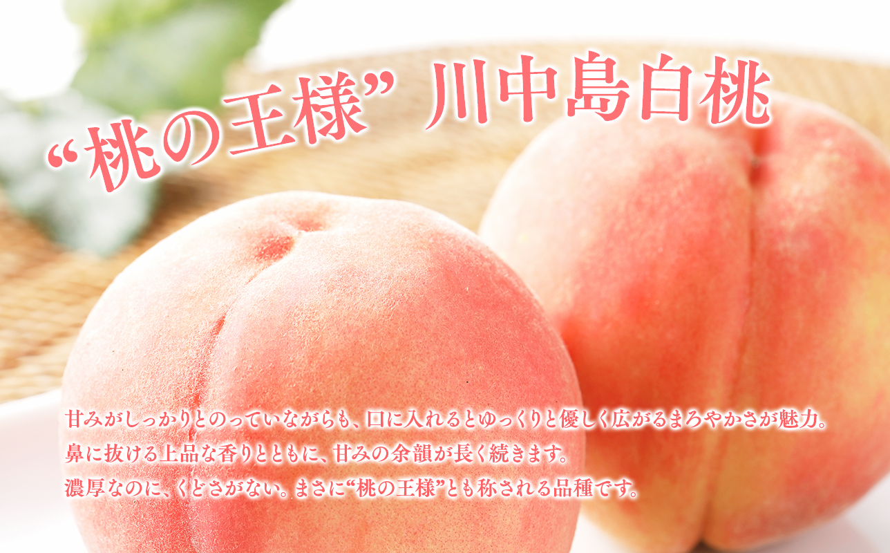 青森フルーツ満喫便　家庭用 桃＆りんご 2回定期コース【hi-0999-009】
