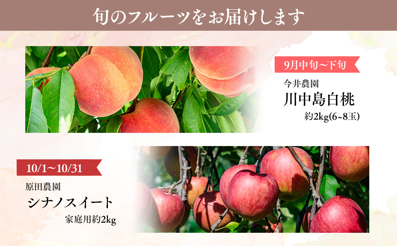 青森フルーツ満喫便　家庭用 桃＆りんご 2回定期コース【hi-0999-009】