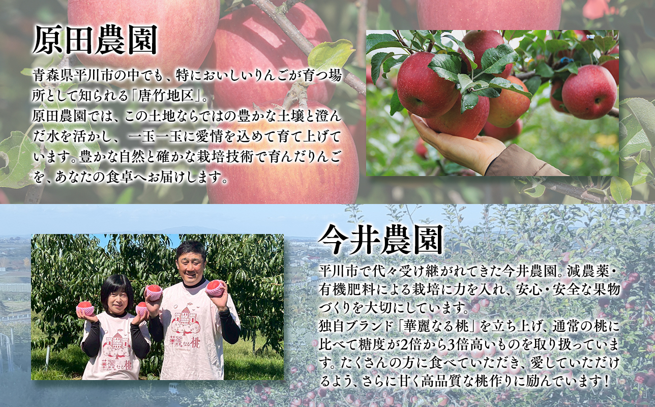 青森フルーツ満喫便　家庭用 桃＆りんご 2回定期コース【hi-0999-009】