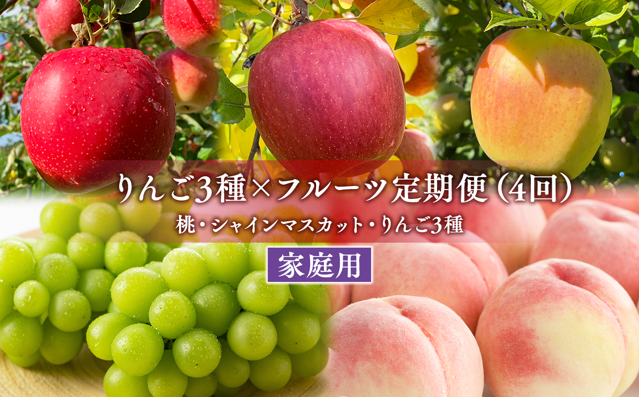 家庭用フルーツ定期便　4回(桃・シャインマスカット・りんご3種)【hi-0999-013】
