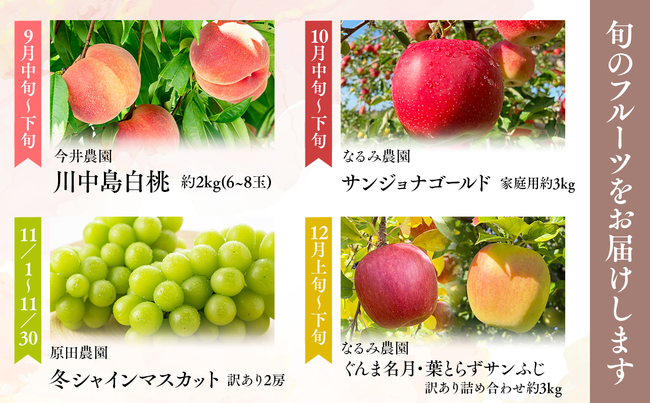 家庭用フルーツ定期便　4回(桃・シャインマスカット・りんご3種)【hi-0999-013】