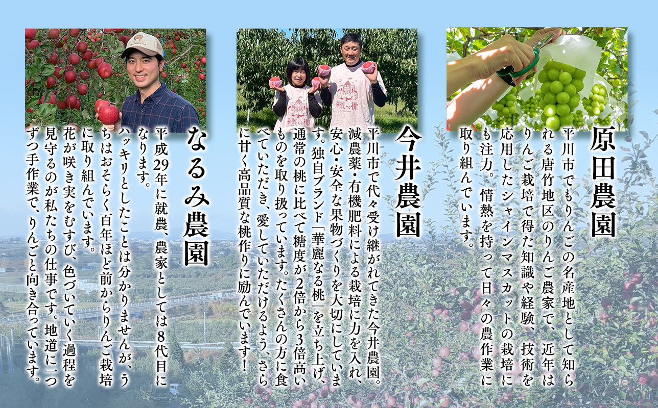 家庭用フルーツ定期便　4回(桃・シャインマスカット・りんご3種)【hi-0999-013】