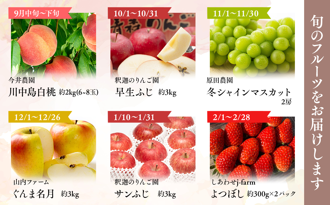 りんご食べ比べ3種入り！プレミアム定期便6回(桃・シャインマスカット・りんご3種)【hi-0999-014】