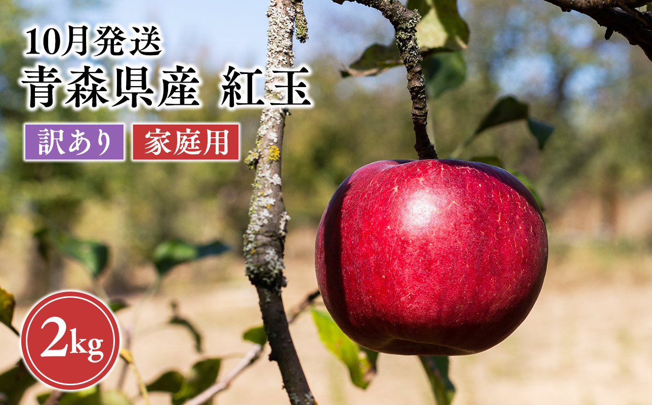 2026年10月発送　【訳あり】家庭用紅玉 約2kg【原田農園】