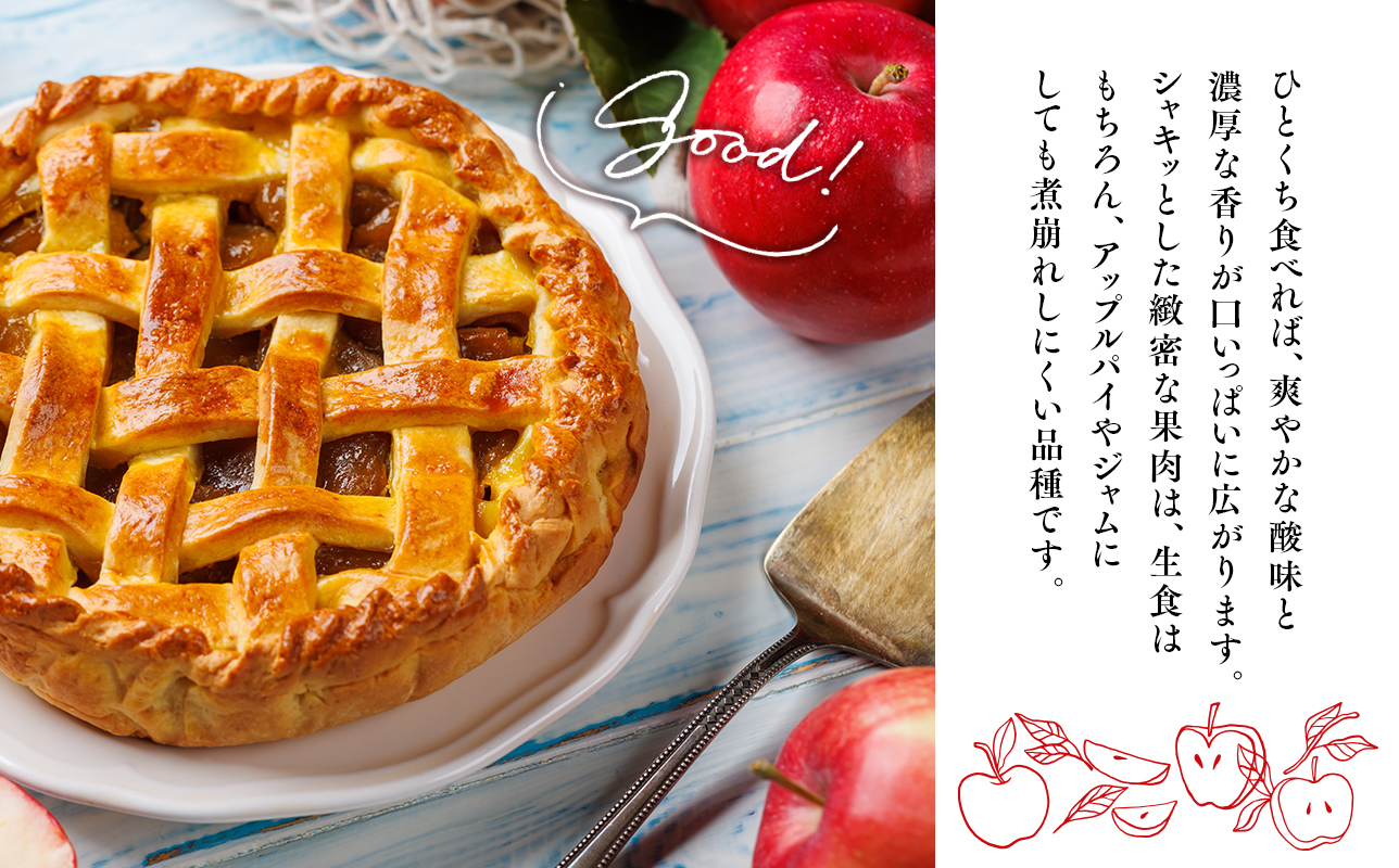 2026年10月発送　【訳あり】家庭用紅玉 約5kg【原田農園】 