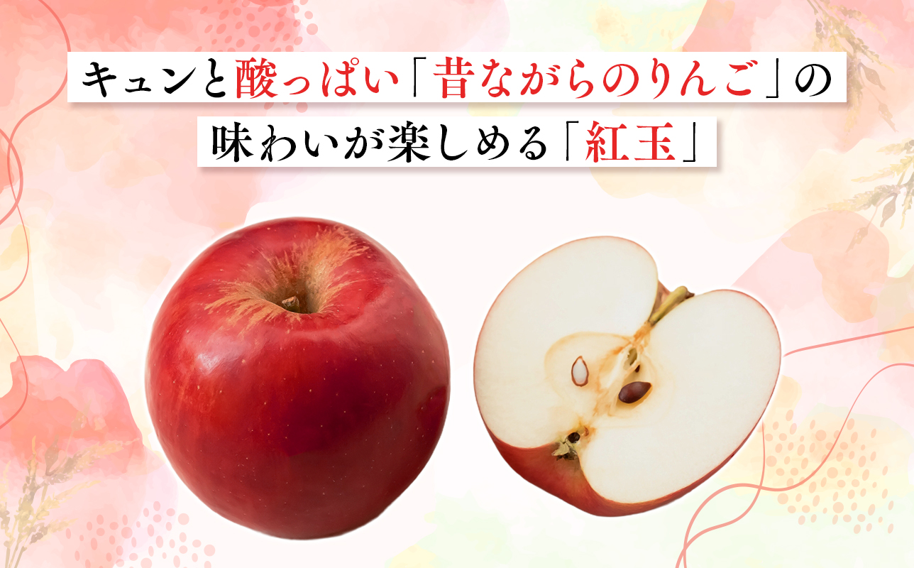 2026年10月発送　【訳あり】家庭用紅玉 約5kg【原田農園】 