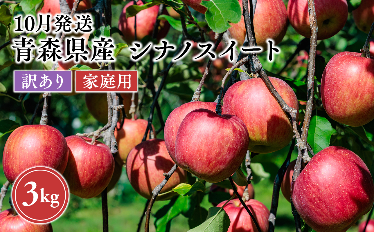 2026年10月発送　【訳あり】家庭用シナノスイート 約3kg【原田農園】