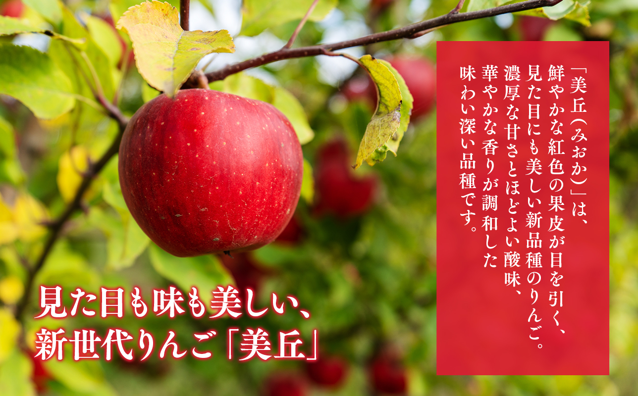 ã11æäžæ¬ïœé 次çºéãèŽççšçŸäž5kgãä»äºèŸ²åãâªhi-0064-013â«