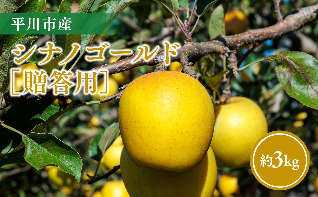 【11月～順次発送】贈答用シナノゴールド3kg【今井農園】≪hi-0064-014≫