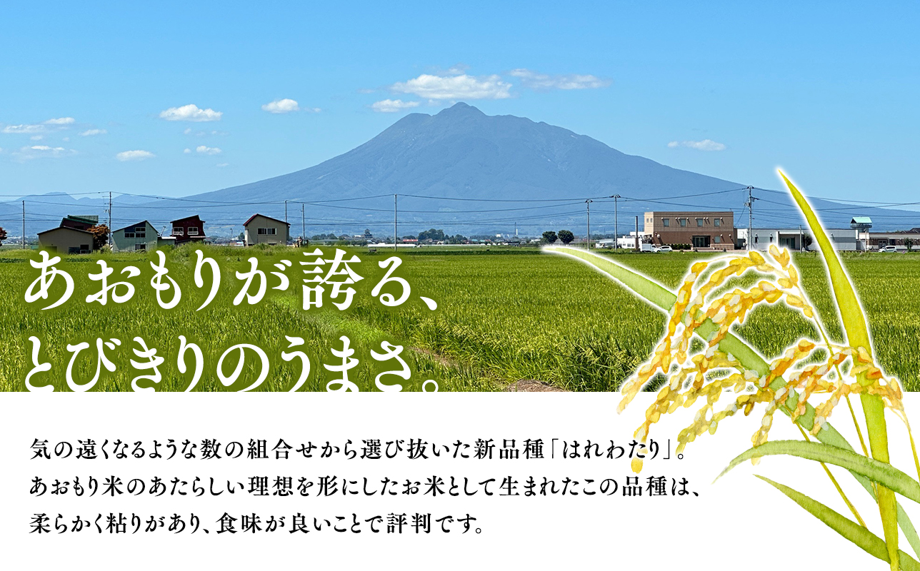 ≪令和8年産 先行予約≫12月中旬よりお届け! 　特別栽培米 はれわたり玄米20kg【青森県 平川市】先行予約 米 お米 玄米 青森県産 産地直送 おにぎり 朝ご飯 冷めてもおいしい ご飯  コメ こめ 白米 ごはん ブランド米 特A 特A米 お取り寄せ グルメ