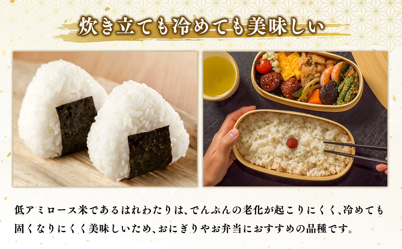 ≪令和8年産 先行予約≫12月中旬よりお届け! 　特別栽培米 はれわたり玄米20kg【青森県 平川市】先行予約 米 お米 玄米 青森県産 産地直送 おにぎり 朝ご飯 冷めてもおいしい ご飯  コメ こめ 白米 ごはん ブランド米 特A 特A米 お取り寄せ グルメ